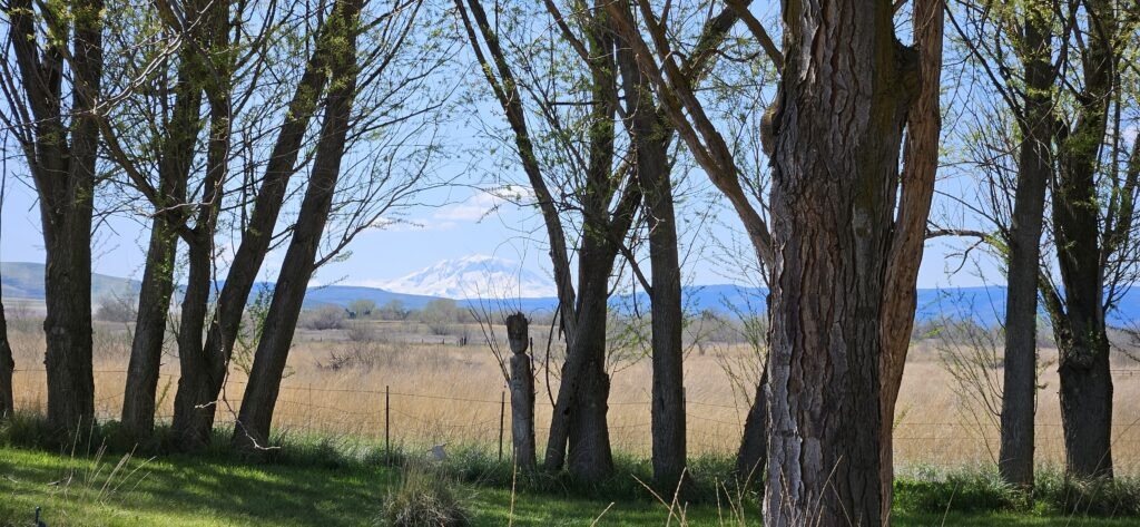 Pahto, Mt. Adams