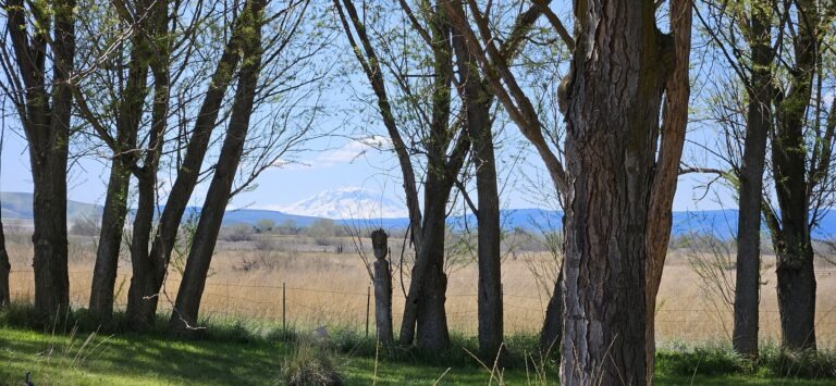Pahto, Mt. Adams