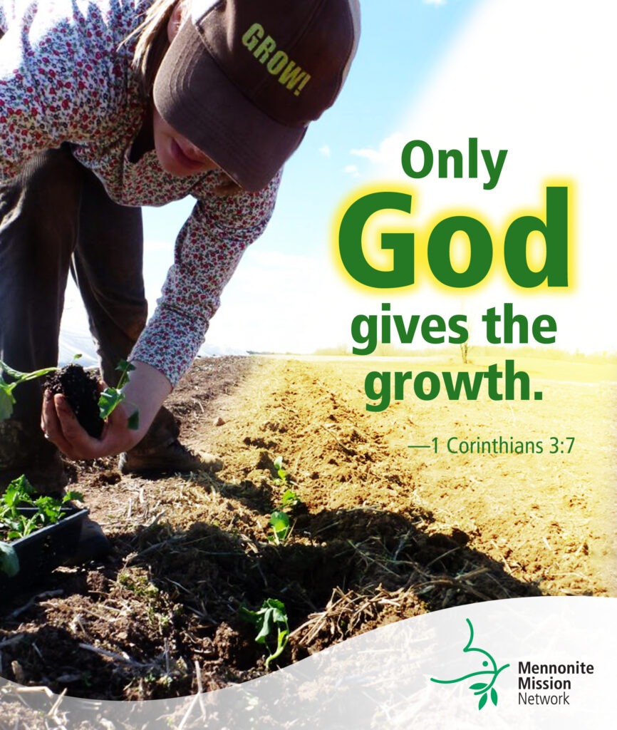 God gives growth