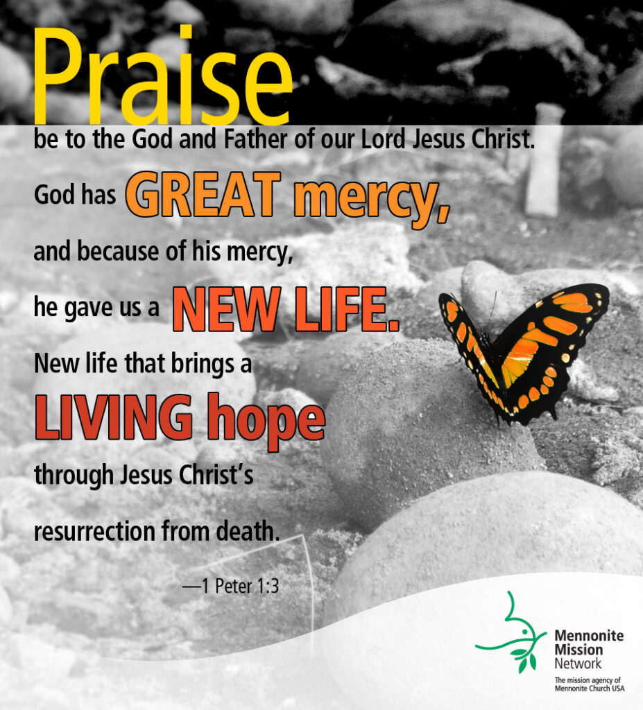 Praise be to God