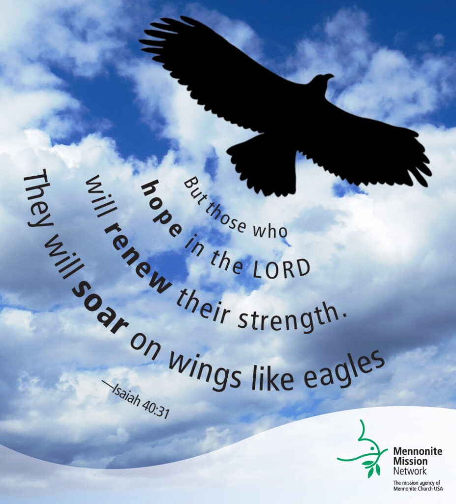 Wings like eagles
