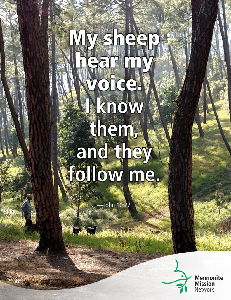 Knowing the Shepherd