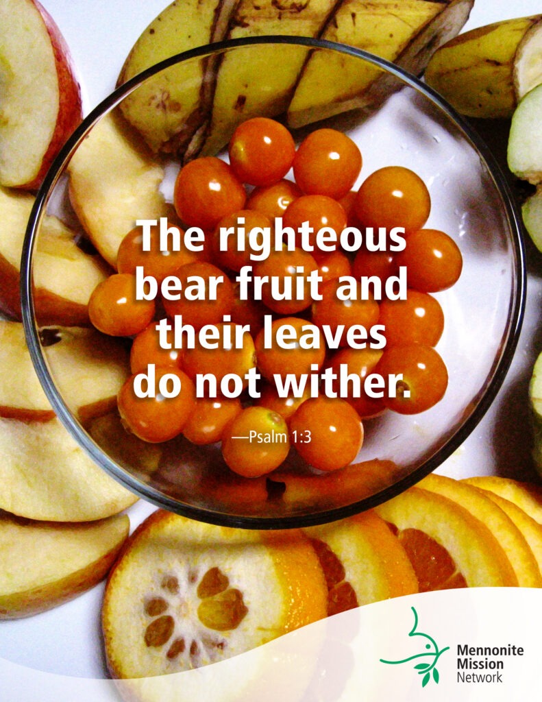 Yield fruit