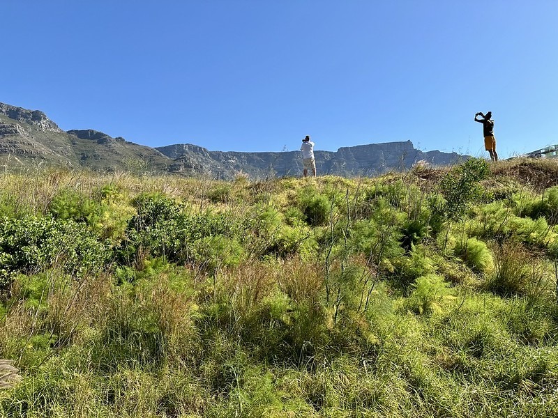 District Six location