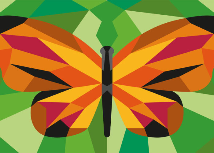 06_butterfly