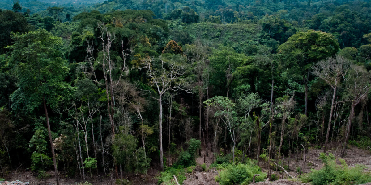 ​Thousands of Mennonites in Congo are hiding in the forest to escape the violence of government troops and militias. Photo named