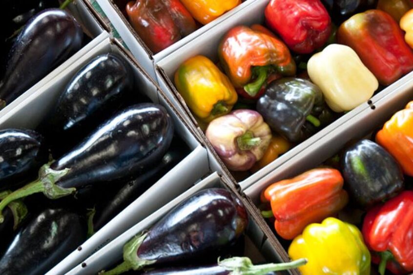 ALAMOSA_VALLEYROOTSFOODHUB ALAMOSA_VALLEYROOTSFOODHUB
