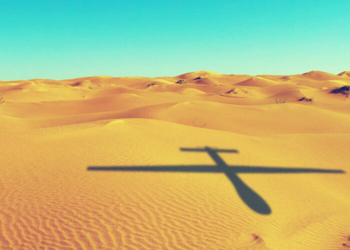 DroneShadowLarge