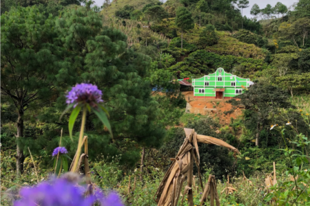 ​Mountainside beauty