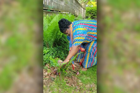 Sibonokuhle Ncube tends a garden of ferns in Goshen