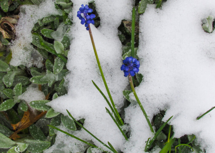 ​Photo by Cynthia Friesen Coyle.