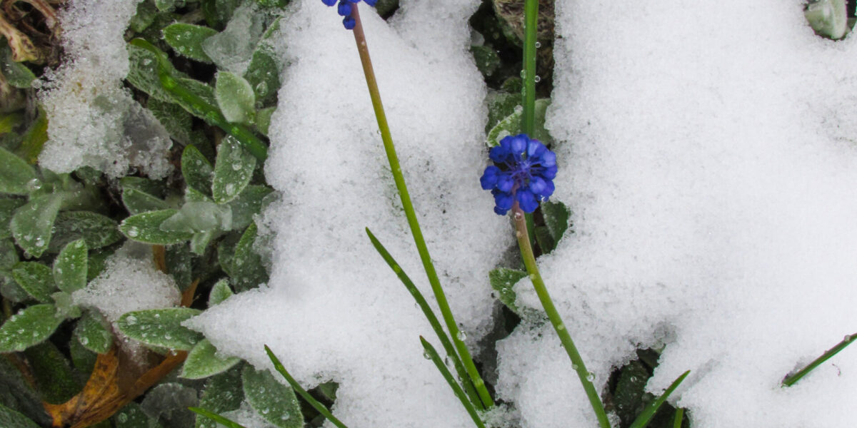 ​Photo by Cynthia Friesen Coyle.