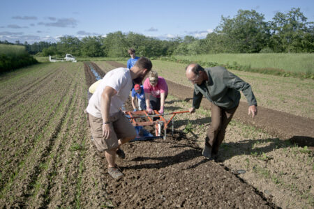 Youth Venture leaders and participants Andy Findley, Matthew Rodenberg, Andrew Koerner, Abby Findley, join Ray Epp in planting potatoes at Menno Village in Sapporo, Japan.