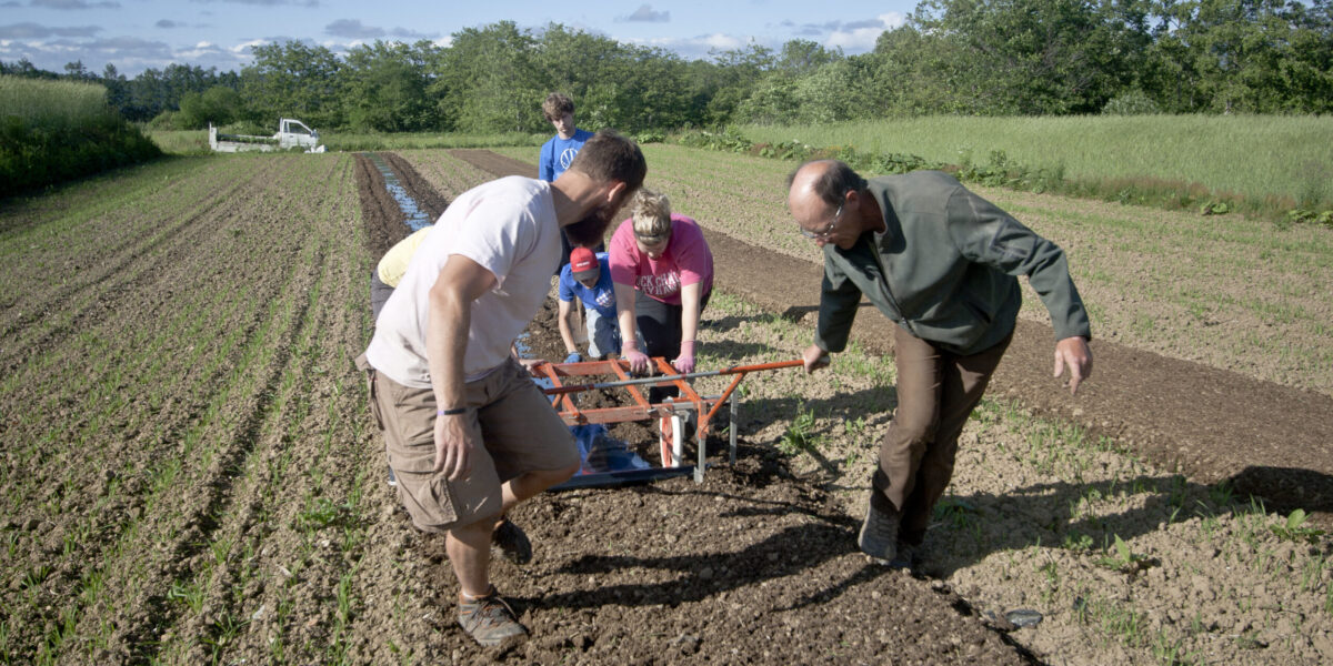 Youth Venture leaders and participants Andy Findley, Matthew Rodenberg, Andrew Koerner, Abby Findley, join Ray Epp in planting potatoes at Menno Village in Sapporo, Japan.