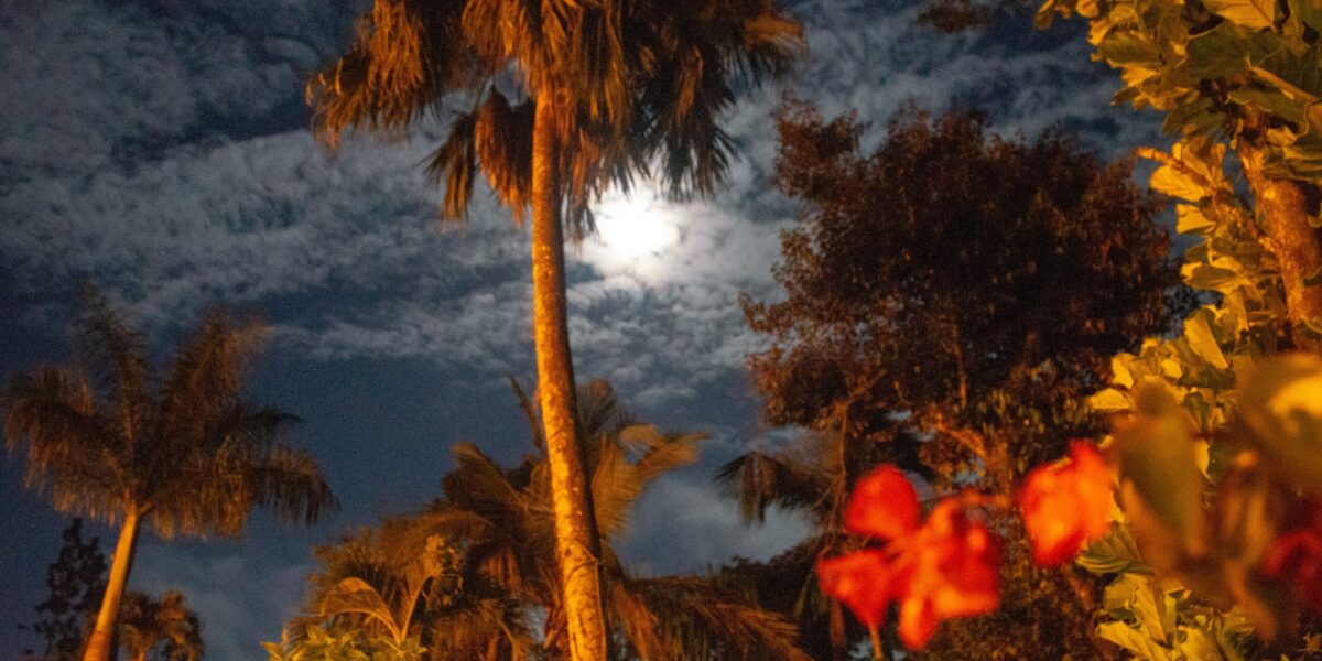 ​Photo by Linwood Rush in Puerto Rico at Anabautista Menonita Betania.