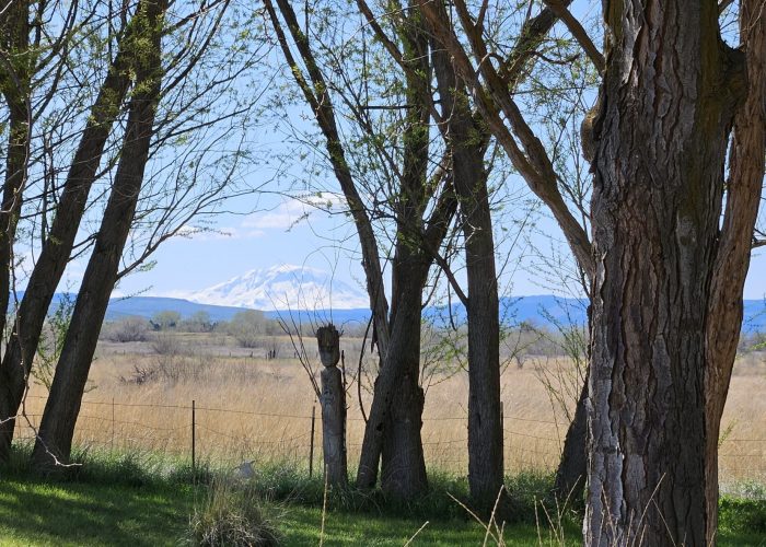 Pahto, Mt. Adams