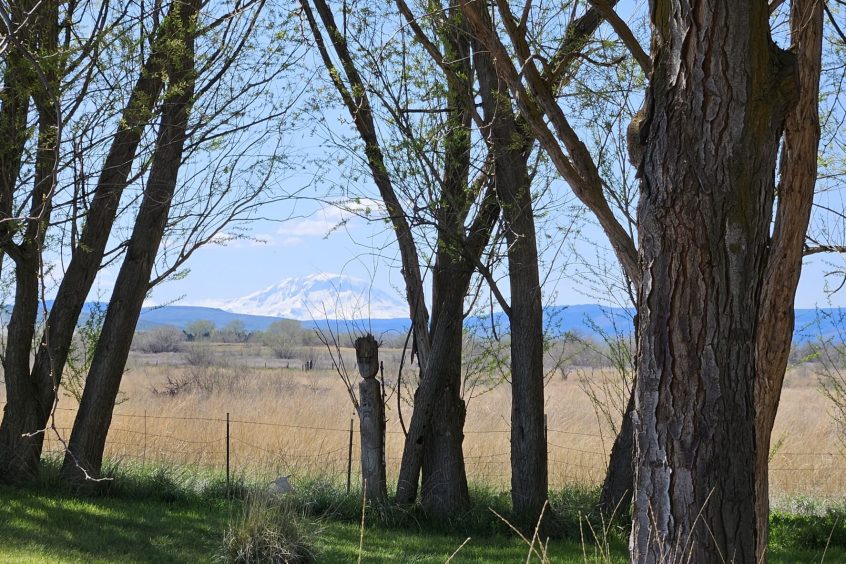 Pahto, Mt. Adams