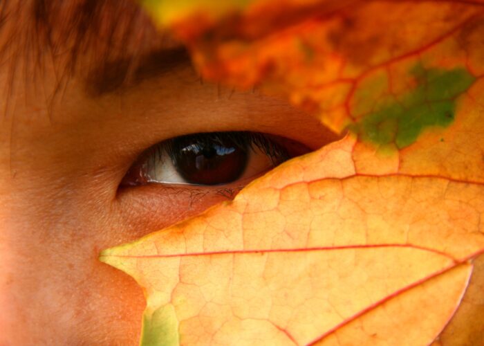 asian-autumn-1-1350197-1920x1280