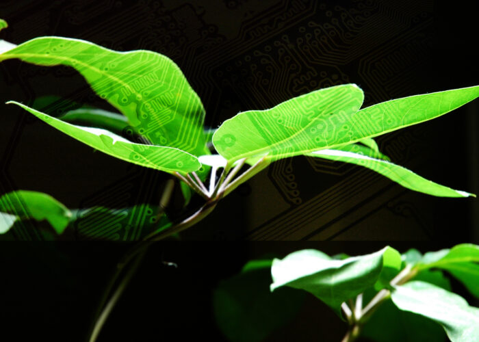 ​Mennonite Mission Network is launching its Sent Network online resource for church-planting leaders and aspiring church planters in late August. Registration deadline is August 19. See article below for registration information. Photo provided.  